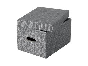 Hoiukast kaanega Esselte Home Storage Box Medium (265x205x365mm)