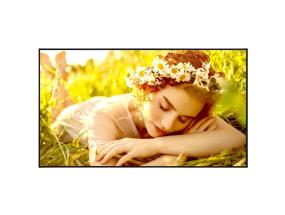 DISPLAY LCD 65"/65UL5Q-E LG