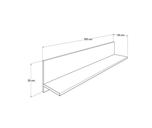 Seinariiul Raf-11-Pp-1