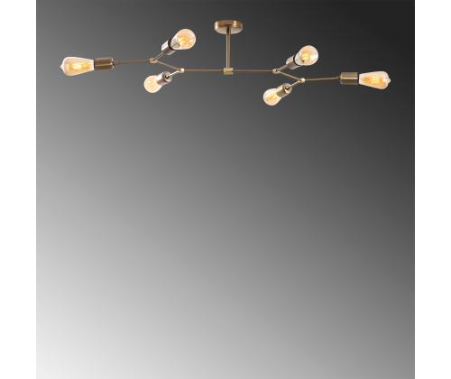 Sparrow - 1241