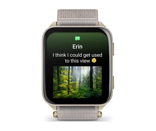 Garmin Venu X1 Smart Watch Soft Gold, Titanium Caseback / French Grey Nylon Band