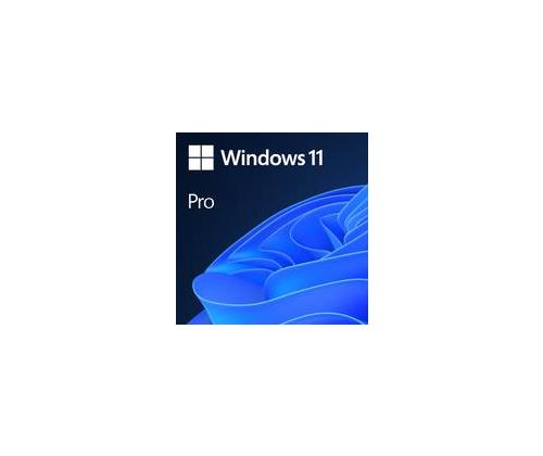 Software MICROSOFT Win 11 Pro GGK 64Bit Eng Intl 1pk DSP ORT OEI DVD Win Pro OEM English 4YR-00316