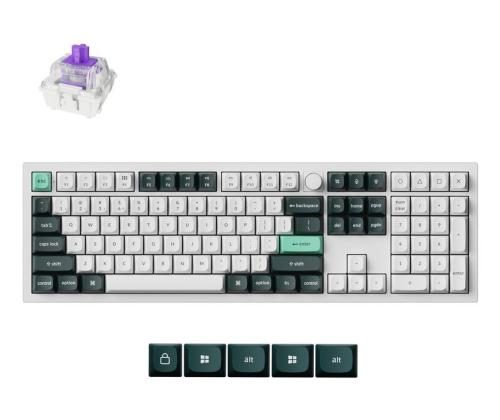 KEYBOARD WRL Q6 HE RGB/SHELL WHITE Q6H-P1 KEYCHRON