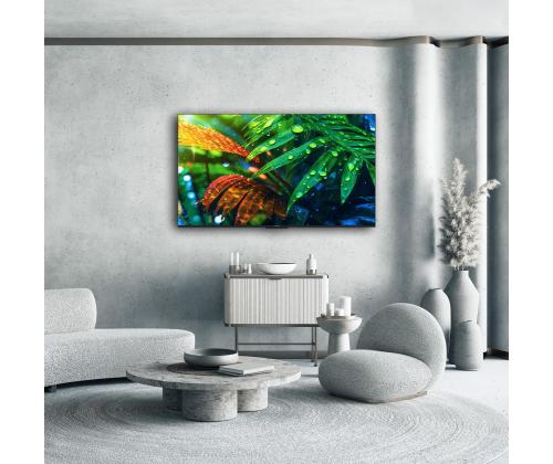 TV Set THOMSON 55 " 4K Ultra HD 3840 x 2160 pixels Flat 16:9 QD-Mini LED 55MG7C15