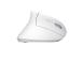 MOUSE USB OPTICAL WRL VERTO/ERGONOMIC WHITE 25132 TRUST