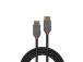 CABLE DISPLAY PORT 1M/ANTHRA 36481 LINDY