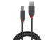 CABLE USB2 A-B 10M/ANTHRA 36677 LINDY