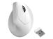 MOUSE USB OPTICAL WRL M5/WHITE M5-A24 KEYCHRON