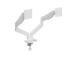 DISPLAY ACC MOUNTING ARM/DBL 17-32" MA-DA2-06-W GEMBIRD