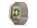 SMARTWATCH VENU X1/GOLD/TITAN 010-02980-09 GARMIN