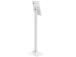 TABLET ACC FLOOR STAND/9.7-11" FL15-650WH1 NEOMOUNTS
